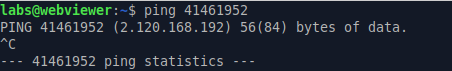 Ping utility decode the integer value into IP address